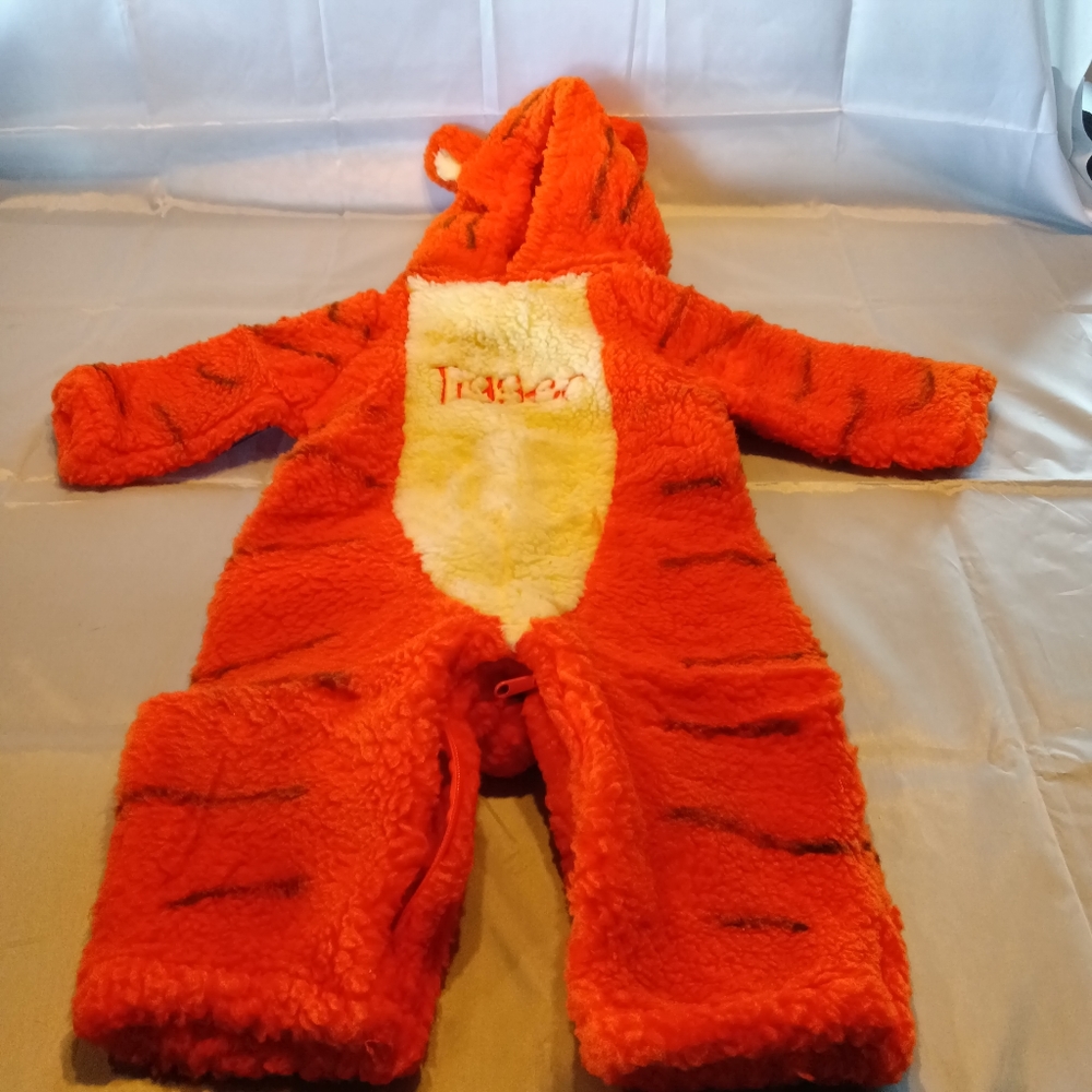 Costume - Picture 3 of 13